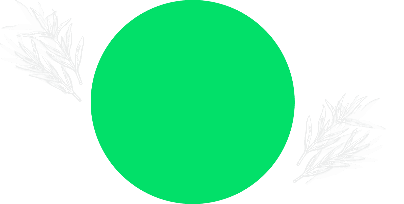 Boat Rental Circle Vector Background