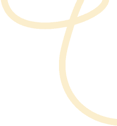 Vector pattern decoration