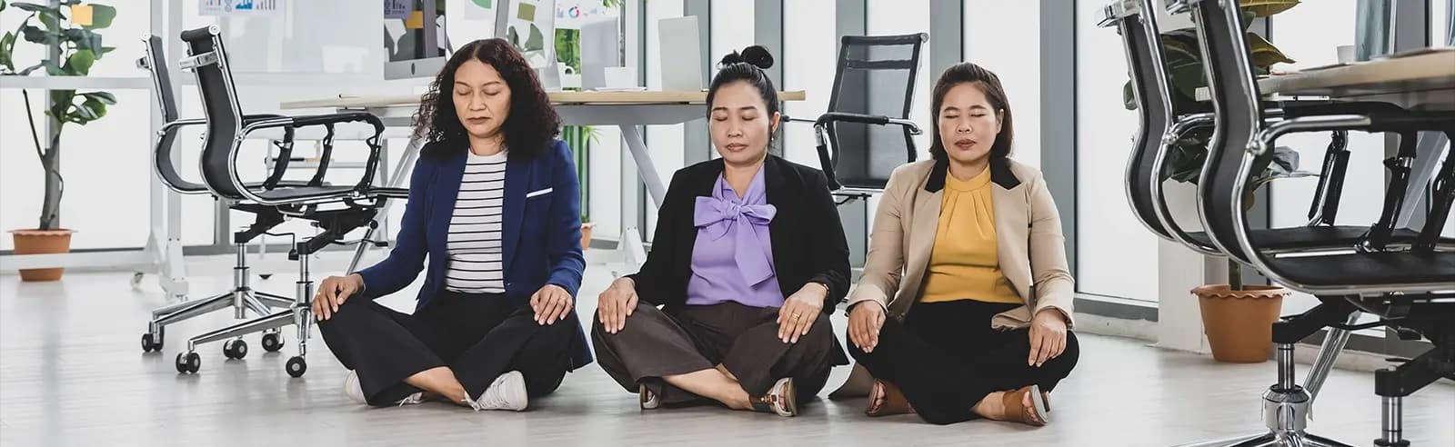 CORPORATE WELLNESS SYSTEMS