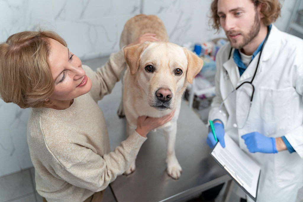 Complete Pet Care Coverage