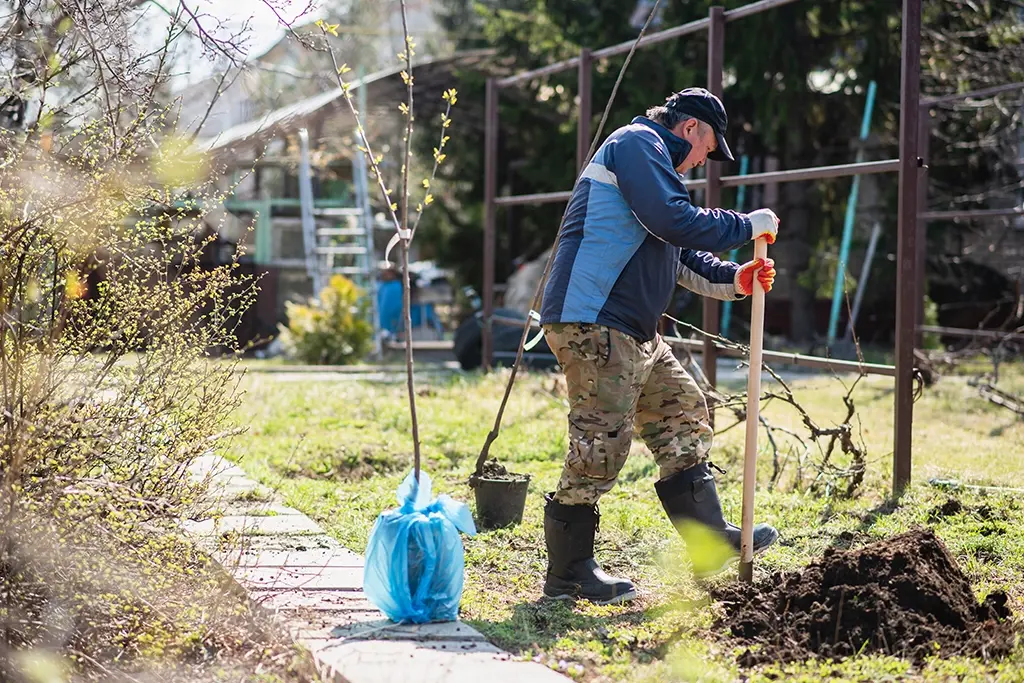 Outdoor Services