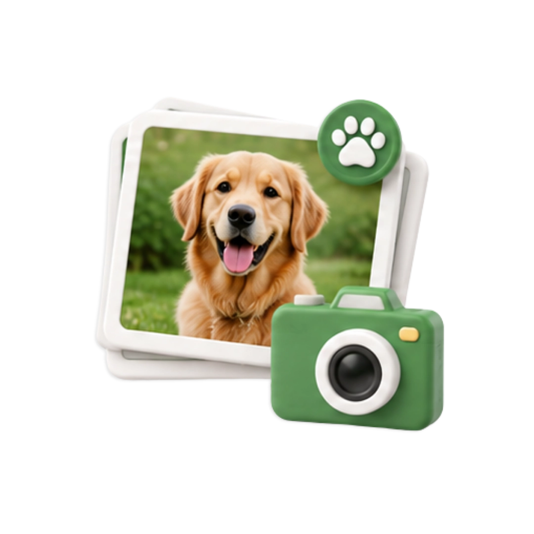 Photo and Activity Updates