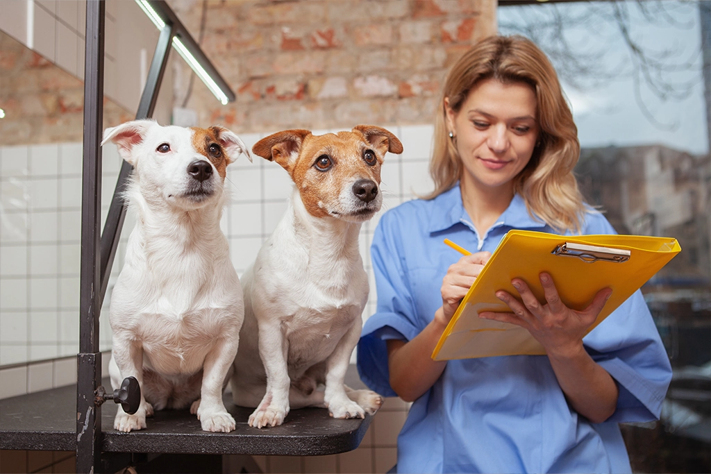 Veterinary Assistance