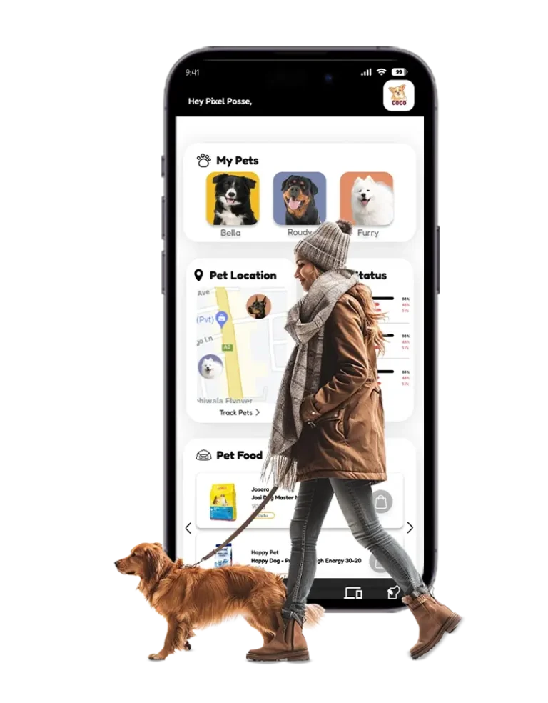 How does a dog care app function